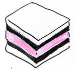 Caramel Cup no background